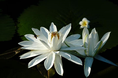 ng电子游戏·(中国区)官方网站